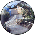 Eden Project - St. Austell, Cornwall