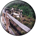 Tamar Valley Gorge - Gunnislake, Cornwall
