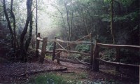Tamar Valley Gorge: Gate